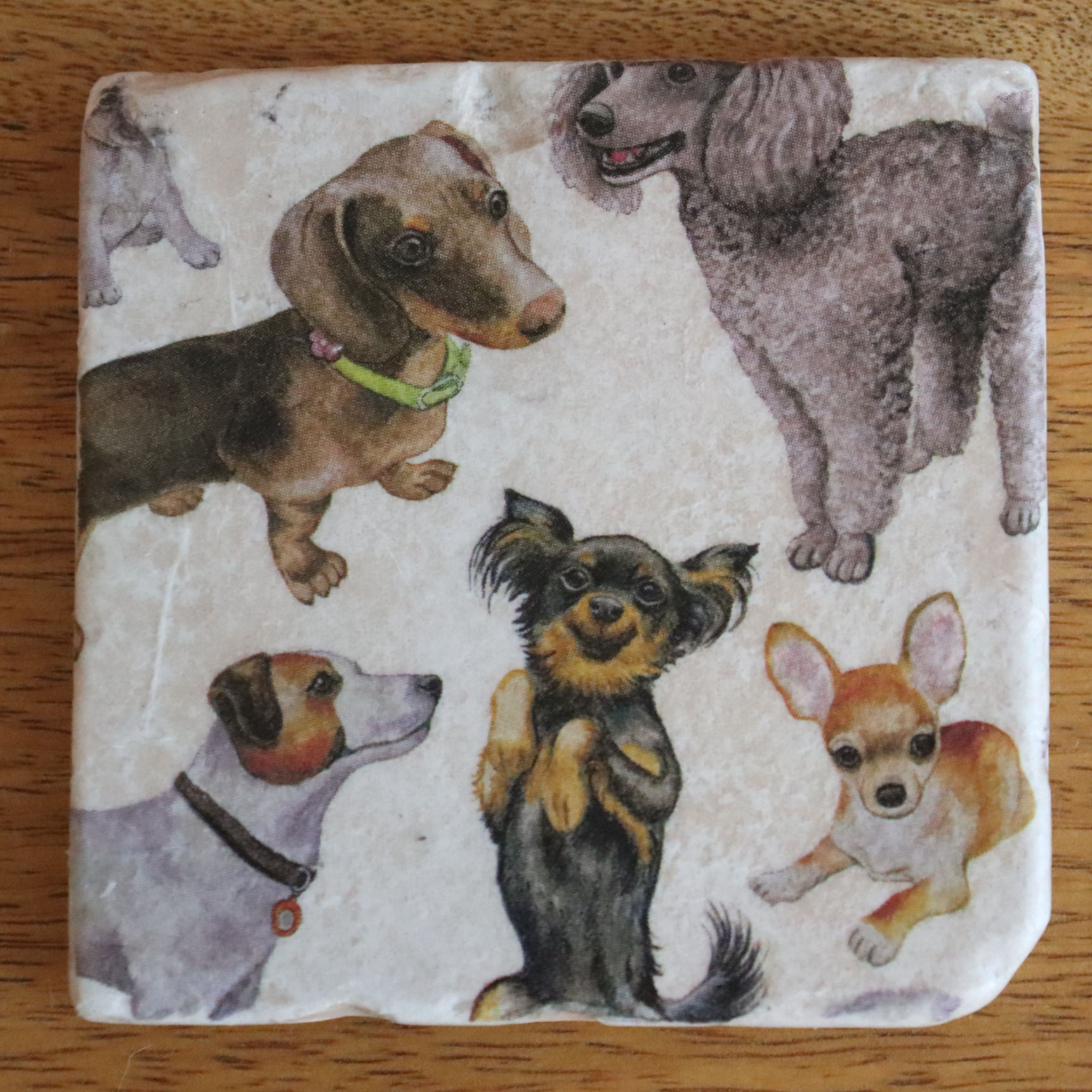 Doggies