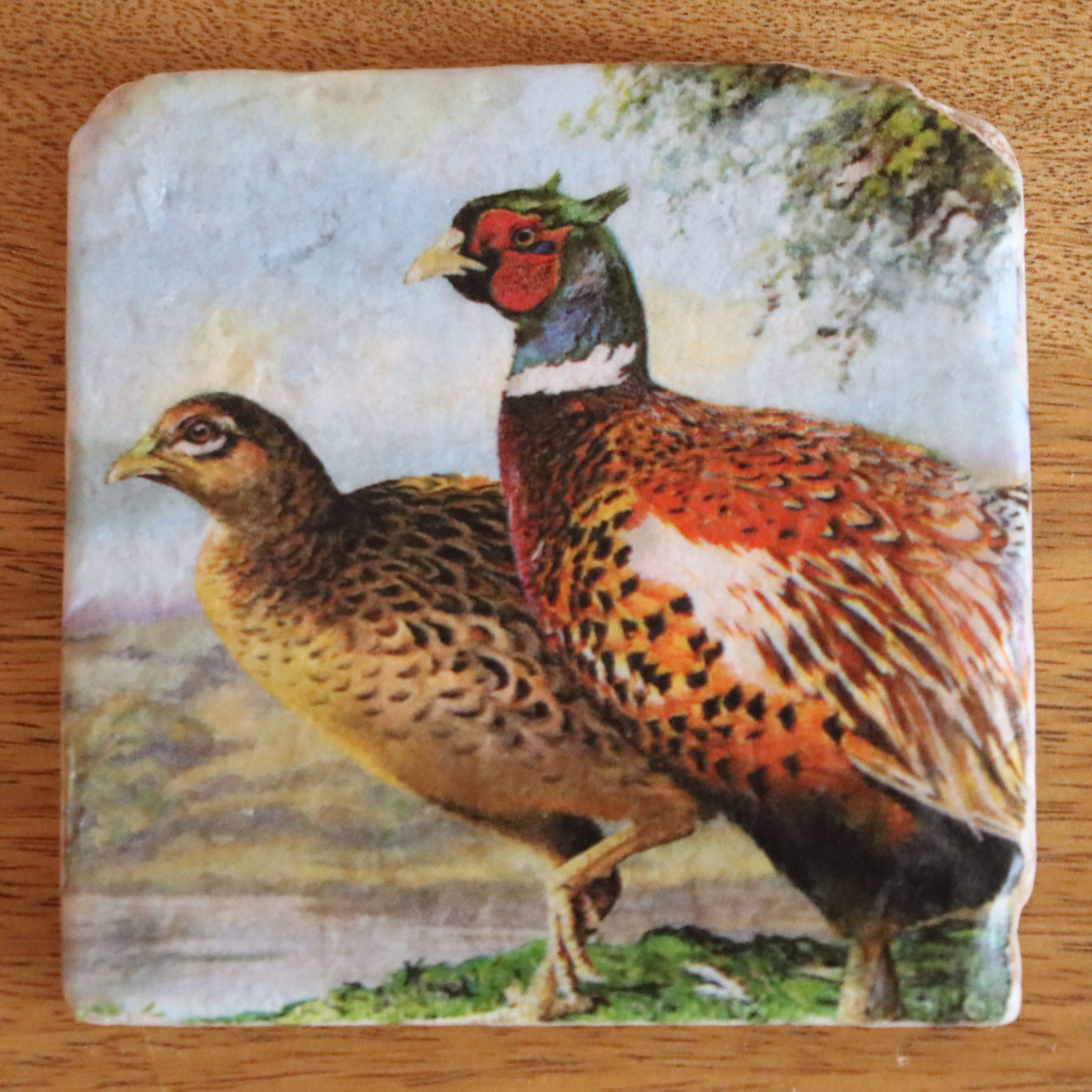 Pheasants