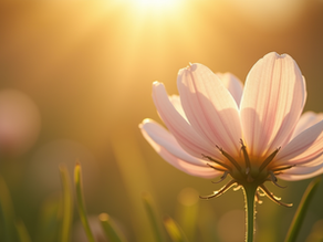 Seeing Through the Eye of God: Embracing Divine Love in Every Creature