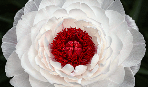 sm-Use-AI-Image-May-1,-2026,-22_11_03.gif