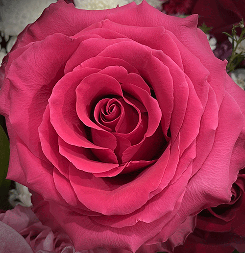 sm-IMG_2830.gif