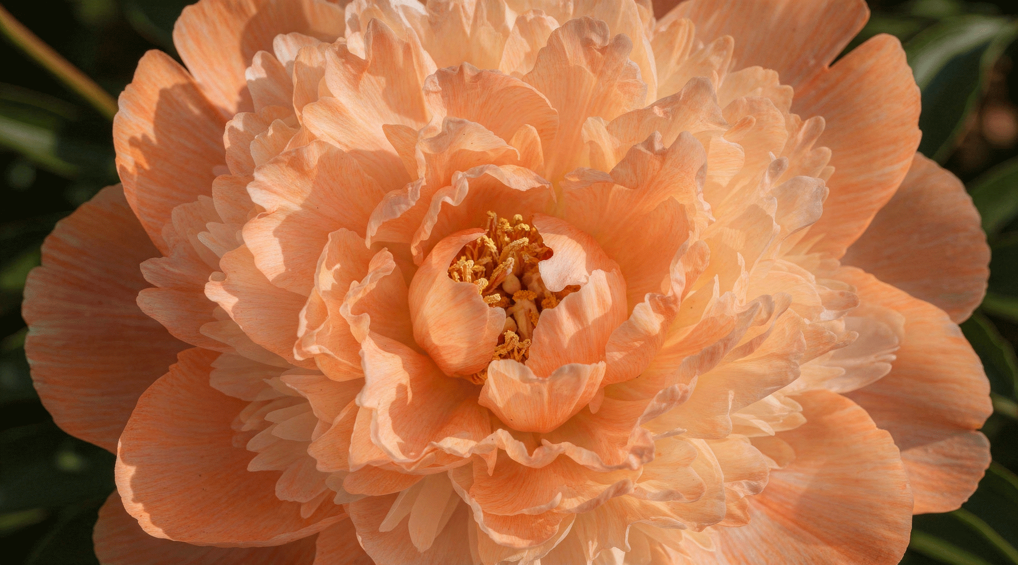 Use-AI-Image-May-1,-2026,-22_08_39.gif
