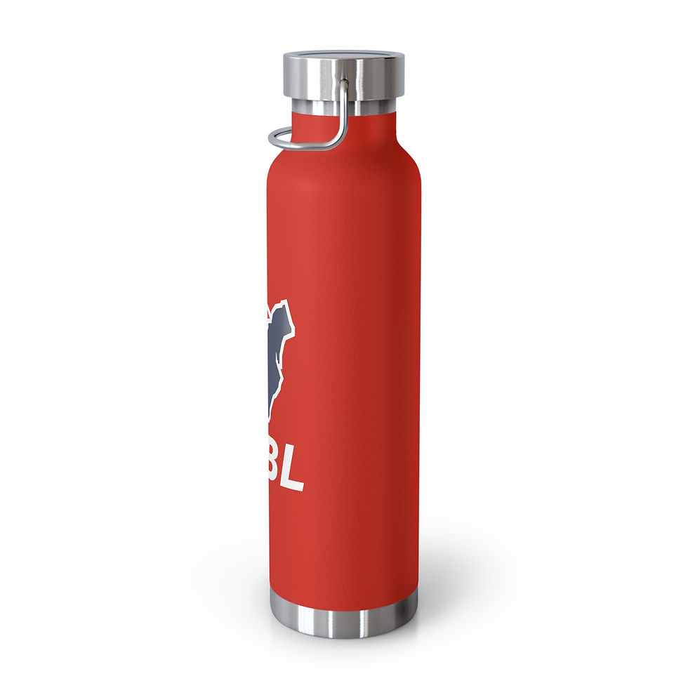 Thumbnail: ECBL Copper Vacuum Insulated Bottle, 22oz (several colors)