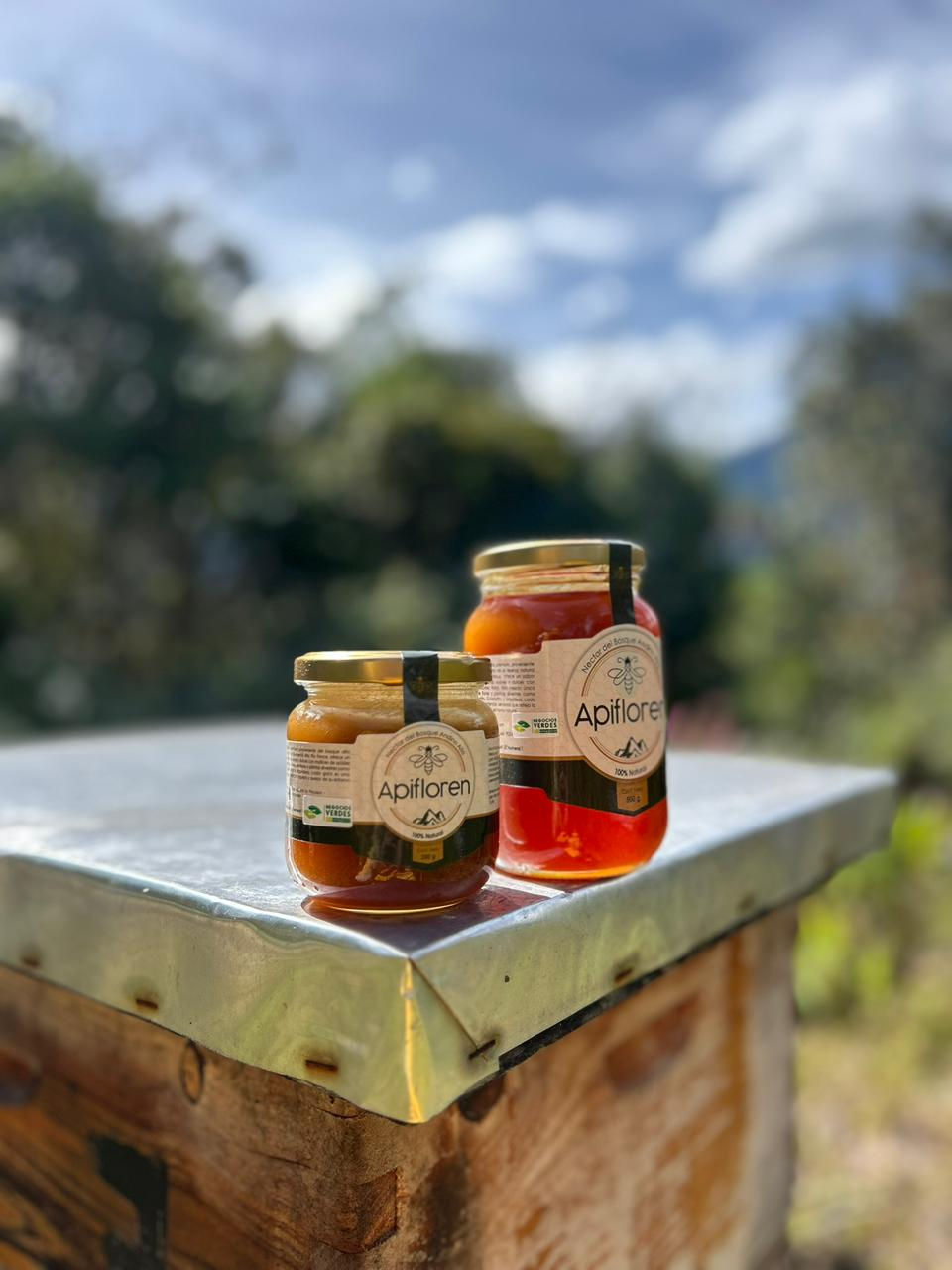 WhatsApp Image 2026-01-26 at 6.40.08 PM