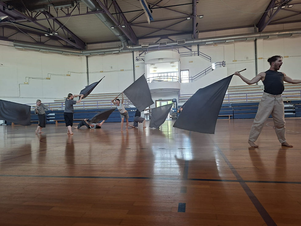 dancEUA flags workshop public presentation, photo by Andjela Bugarija