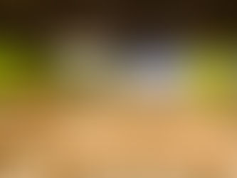 Restaurant Stenden Leeuwarden