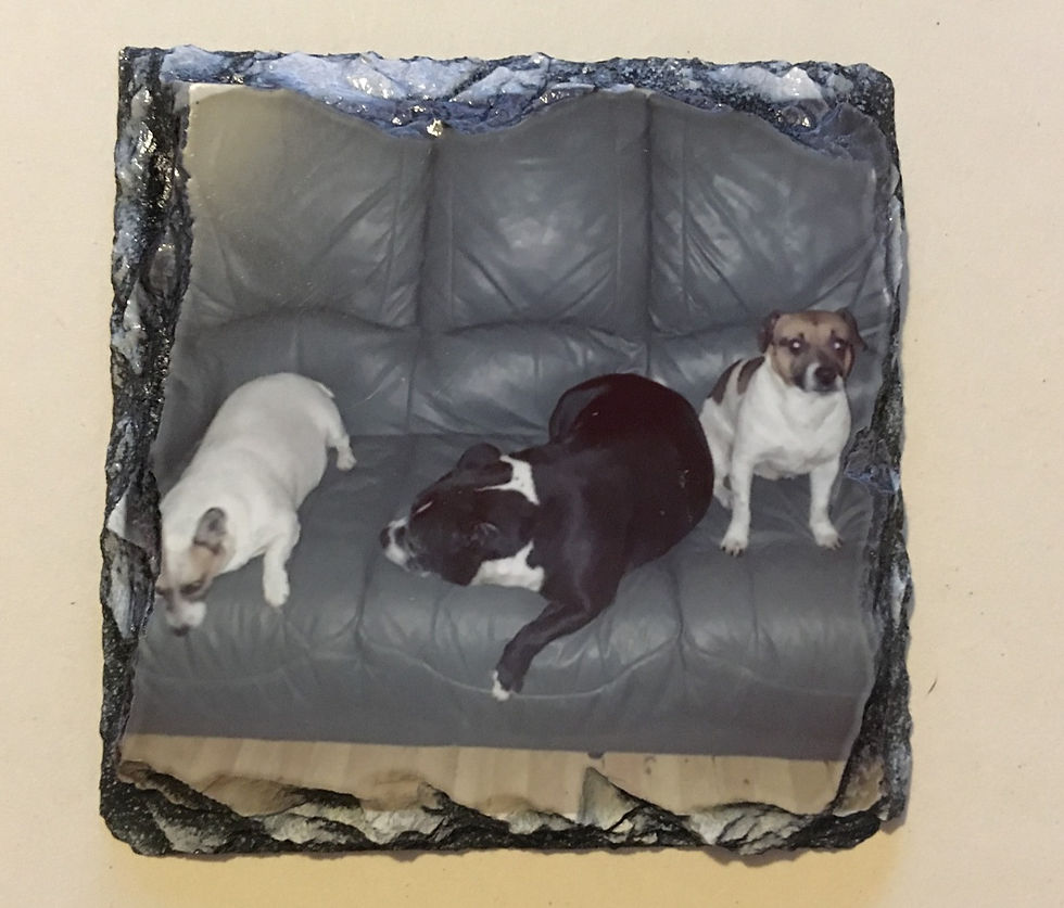 Rock Slate Coasters 10cm