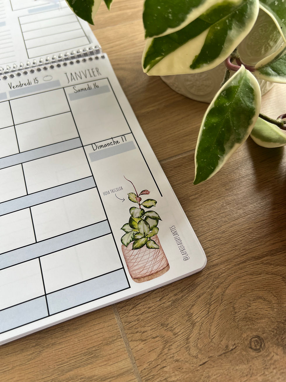 Miniature : Planificateur - 6 périodes