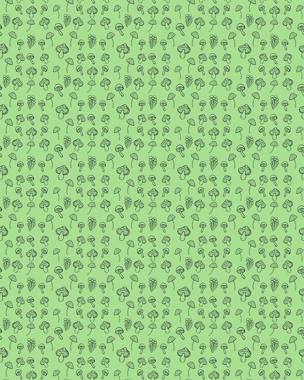 hfif_1 (1).png