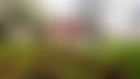 64. Martin Luther King, Jr. Monument to the 1966 Open Housing March, Chicago. 2016.