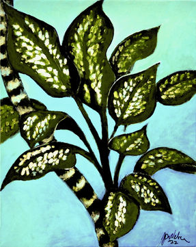 32. Dieffenbachia. 2022.