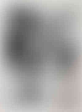 Homage to Vieques with flag (Que Se Vaya). 2005. 