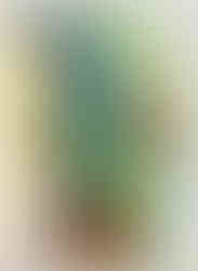 4. Male Torso. 1981.