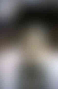 9. Bulldozer Study. 2004.