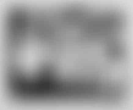 49. Birds Demo (Regime Change). 2020.