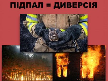 Покарання за підпал сухостою