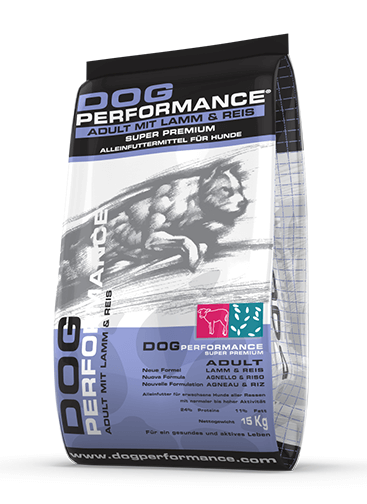 דוג פרפורמנס- כבש ואורז