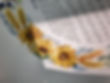 20221017_164623.jpg