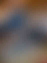 Fresh premium oysters, lemon being squeezed on top of the oyster