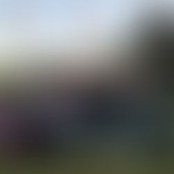 XXI TORNEO DE GOLF BENÉFICO ACTIVE AFRICA