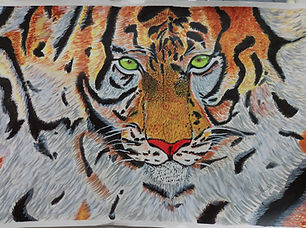 Animal potrait