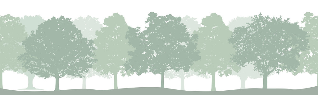 a-collection-of-forest-trees-free-vector