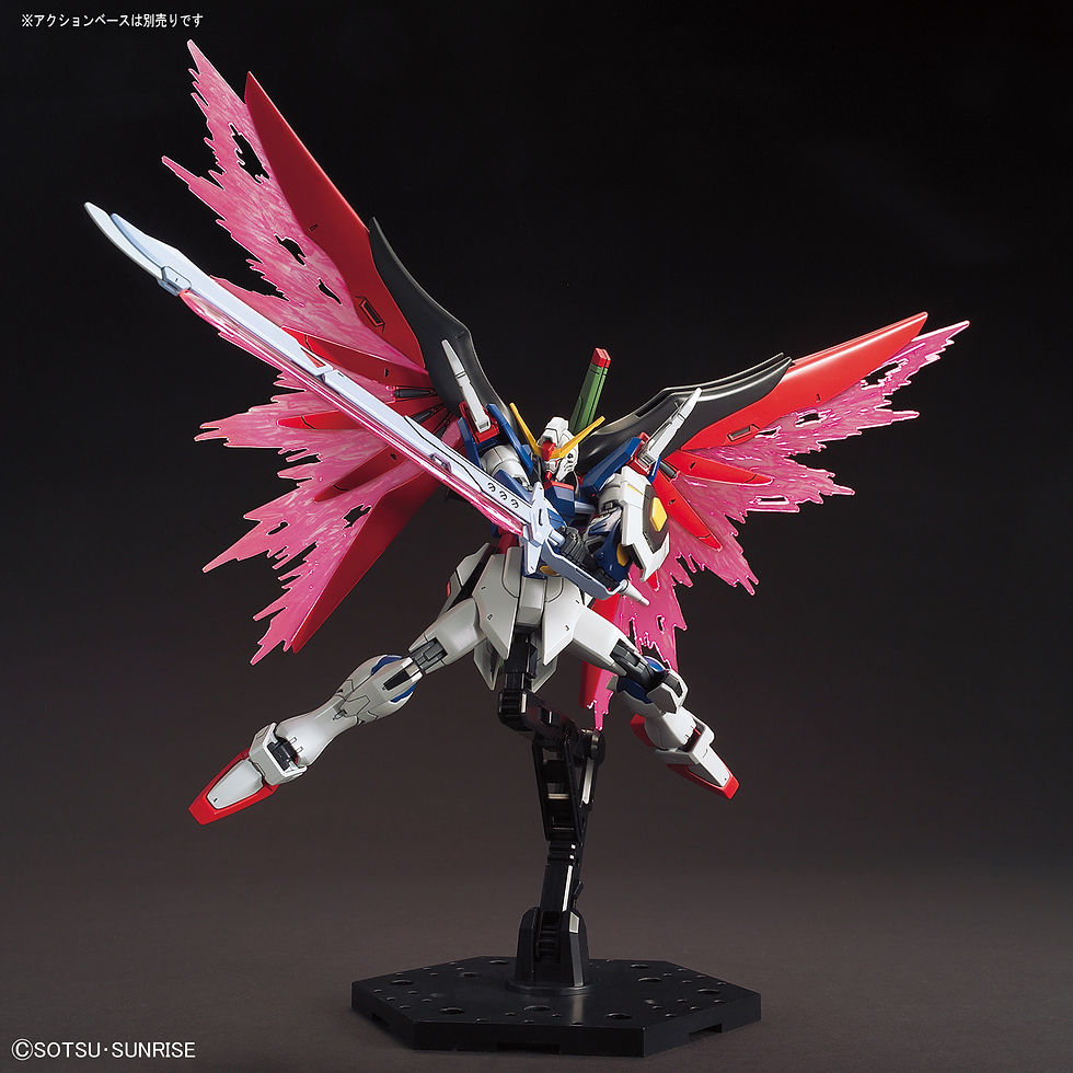 縮圖：HG (224) ZGMF-X42X DESTINY GUNDAM 命運高達