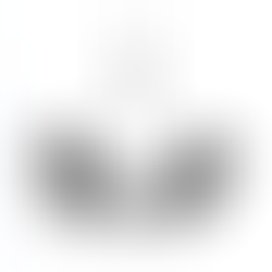 אימון אישי להתפתחות אישית