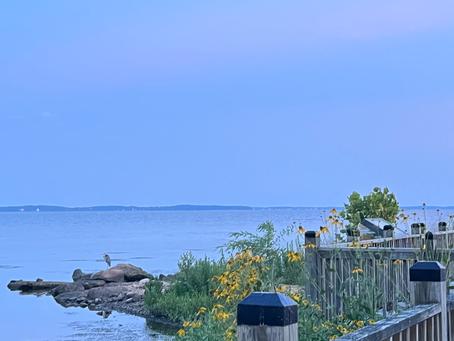 Your Ultimate Guide to the Havre de Grace Boardwalk (aka “The Promenade”)