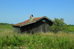 Landes Heritage S TF2A4319