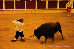 A recortadores S TF2A0619