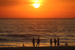 Copie de Beach life IMG_1062