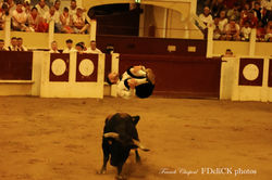 A recortadores S TF2A0630