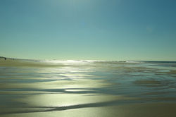 Cote argent TF2A1774