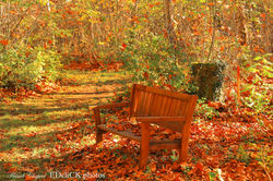 Solférino S TF2A1941