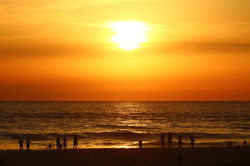 Copie de Beach life IMG_1052