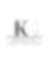 logo no background.png