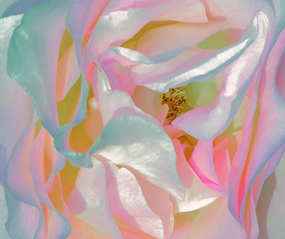 4d36f7c94cd1fefa9ef633efa9431ec2 (1).jpg