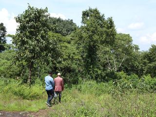 Kata Muduga, Jimma