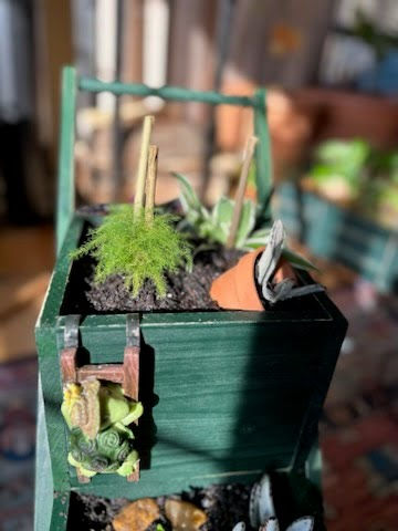 Thumbnail: Succulent Mini Gardens