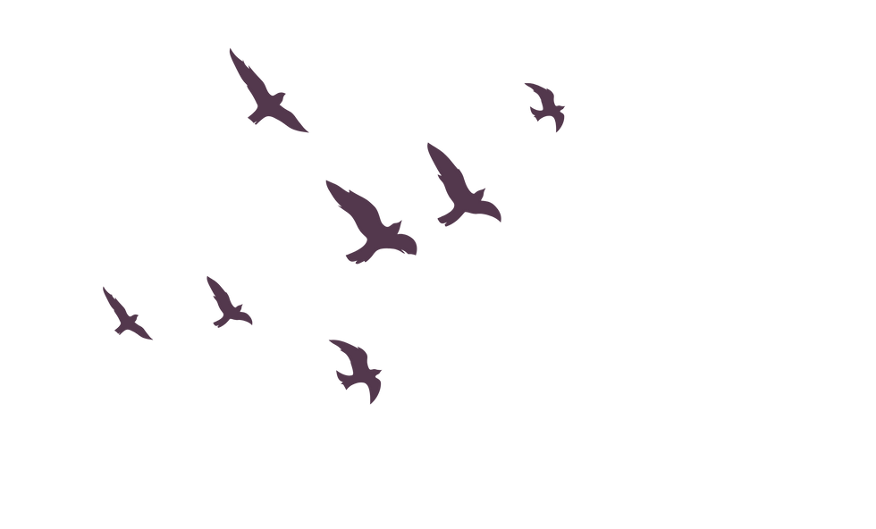 launch (1).png