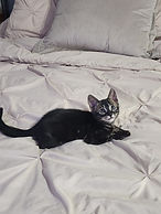 20241103_225614.jpg