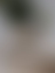 We are all doing our best. 