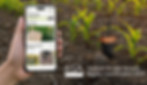 rsa highly commnded hero image.jpg