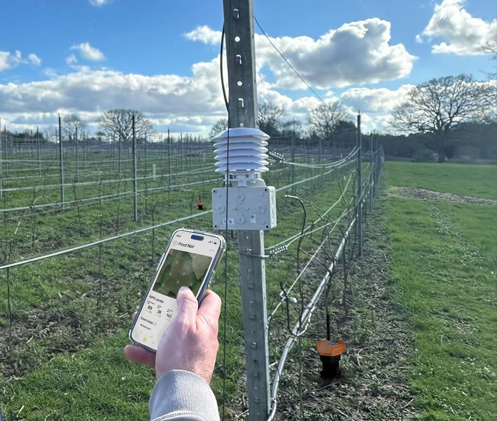 dad using app and sensors .jpg