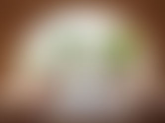 Luxusmarken investieren weiter in die Hotellerie.