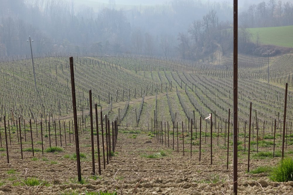 Rolling hills of the Langhe