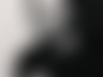 Steve Parry - The Seladorian..