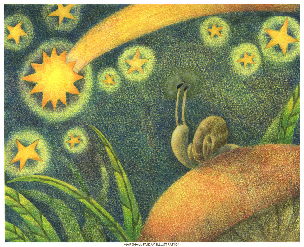 Stargazing Self Reflection