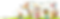 pngegg (1).png